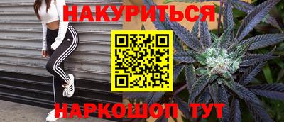 прущие грибы Сланцы