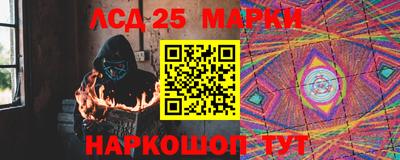 прущие грибы Сланцы