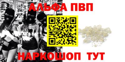 прущие грибы Сланцы