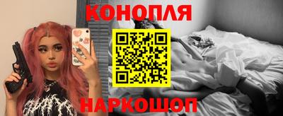 прущие грибы Сланцы
