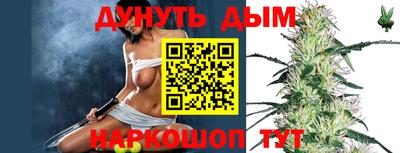 прущие грибы Сланцы