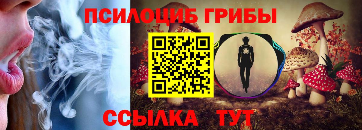 Галлюциногенные грибы MAGIC MUSHROOMS Тулун
