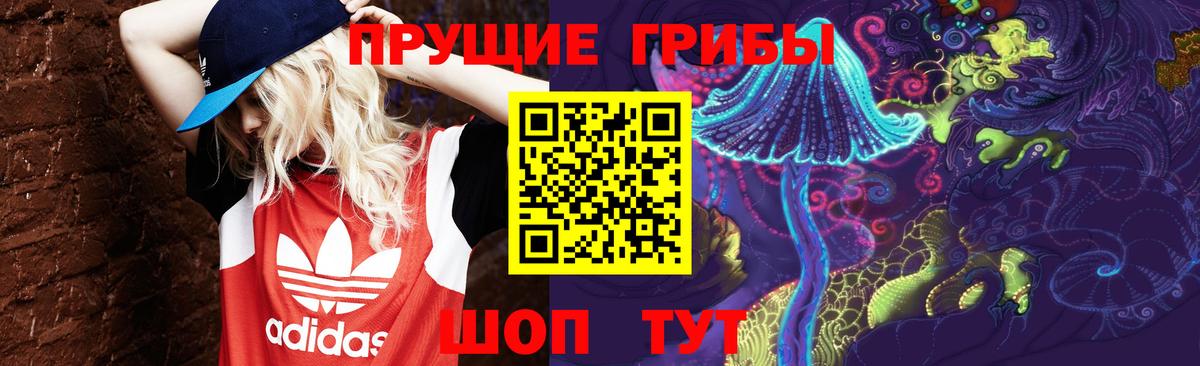 Тулун  Псилоцибиновые грибы мицелий  Вход с VPN  где можно купить   Галлюциногенные грибы MAGIC MUSHROOMS 